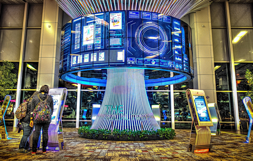 How A-FIDS Improves the Queuing Experience for Your Flight Passengers